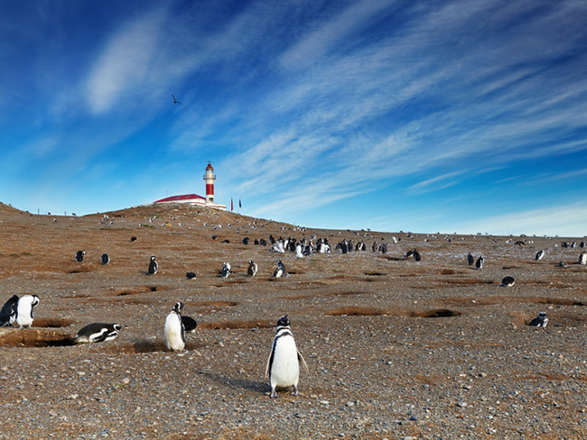 Horóscopo de viaje_Punta Arenas