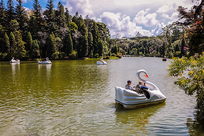 Hacia Estable amargo 10 destinos ideales para unas vacaciones en familia - KAYAK América Latina