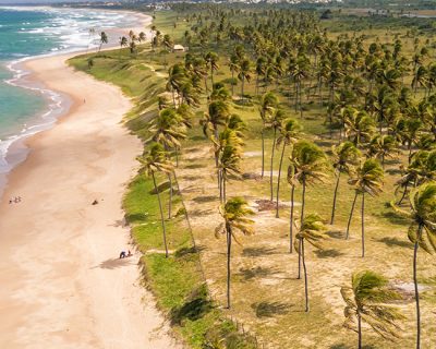 Planes de viaje durante COVID-19