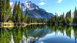 Encuentra vuelos baratos de Hawái a Alberta