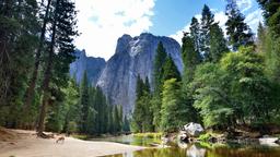 Encuentra vuelos baratos de Knoxville a Parque Nacional de Yosemite