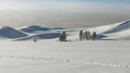 Encuentra vuelos baratos a West Yellowstone