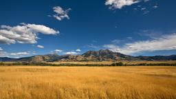 Encuentra vuelos baratos de Mobile a Montana
