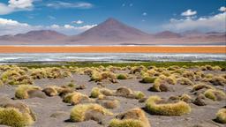 Encuentra vuelos baratos de Dakota del Norte a Ecuador