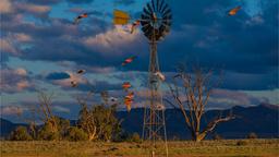 Alquileres vacacionales - Australia Meridional