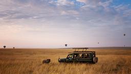 Directorio de hoteles en Maasai Mara