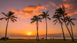 Encuentra vuelos baratos de Maroochydore a Honolulu
