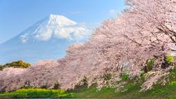 Alquileres vacacionales - Japón