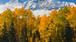 Alquileres vacacionales - Telluride