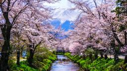 Hoteles en Prefectura de Yamanashi