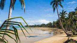 Encuentra vuelos baratos de West Palm Beach a Madagascar
