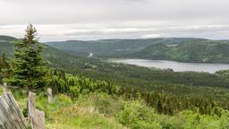 Encuentra vuelos baratos a Deer Lake