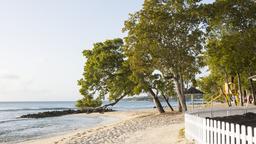 Encuentra vuelos baratos de Columbus a Barbados