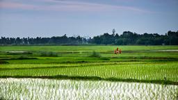 Hoteles en Bengala Occidental