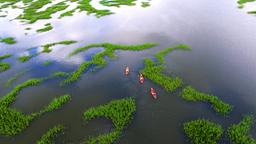 Encuentra vuelos baratos de Virginia a Hilton Head Island