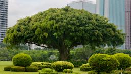 Hoteles cerca de Aeropuerto Haikou Meilan Intl