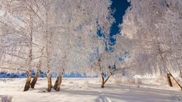 Encuentra vuelos baratos desde Washington D. C. a Finlandia