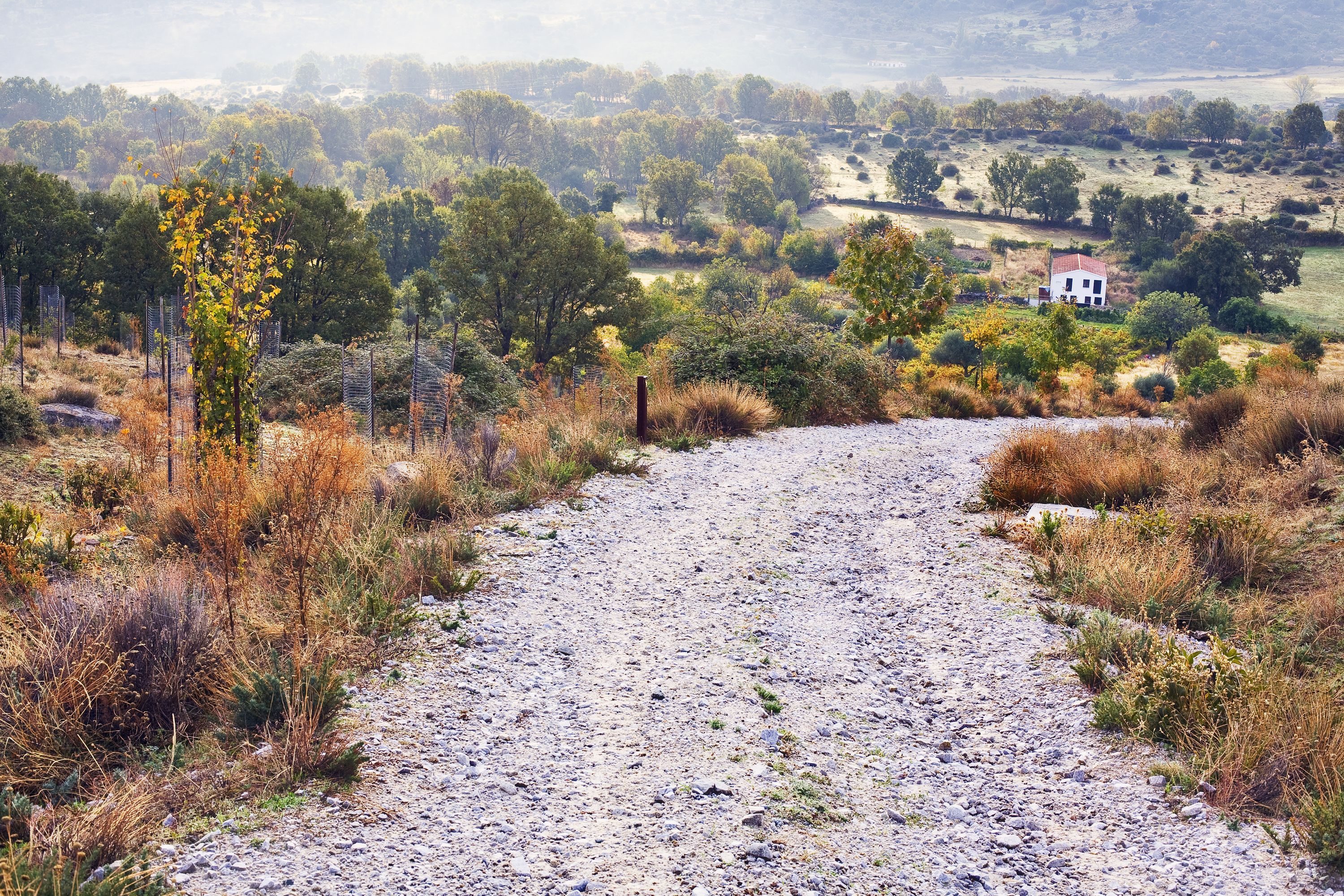 Renta de autos en Las Rozas de Madrid