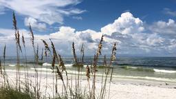 Hoteles en Bradenton Beach
