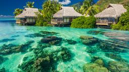 Encuentra vuelos baratos de Kentucky a Tahití