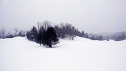 Encuentra vuelos baratos de Jacksonville a Vermont