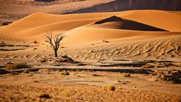 Encuentra vuelos baratos desde Washington D. C. a Namibia
