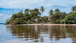 Encuentra vuelos baratos de Maryland a Guyana