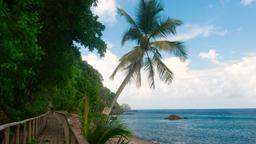 Encuentra vuelos baratos a Dominica