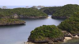 Hoteles en Alaminos