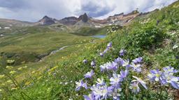 Alquileres vacacionales - Colorado