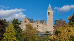 Encuentra vuelos baratos de Rhode Island a Ithaca