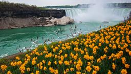 Hoteles en Niagara Falls cerca de Adventure City