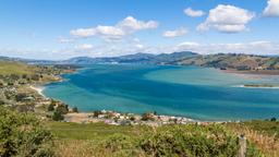Encuentra vuelos baratos de Colorado a Dunedin