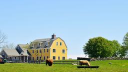 Encuentra ofertas de vuelos internacionales a Rhode Island