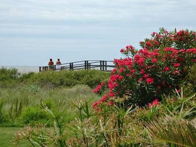 Kiawah Island