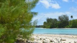 Encuentra vuelos baratos desde Chicago a las Islas Cook