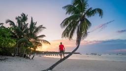 Encuentra vuelos baratos desde Anchorage a Punta Cana