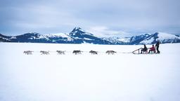 Encuentra vuelos baratos de Escocia a Alaska