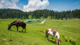 Directorio de hoteles en Gulmarg