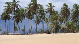 Encuentra vuelos baratos a Cote d'Ivoire