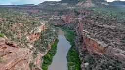 Encuentra vuelos baratos de Arizona a Montrose