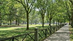 Encuentra vuelos baratos de Queensland a New Haven