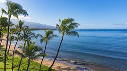 Encuentra vuelos baratos de Waimea (Kamuela) a Maui