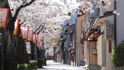Busca vuelos baratos a Japón