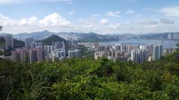 Encuentra vuelos baratos de Lynchburg a Hong Kong