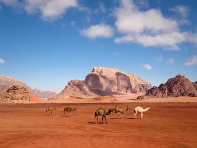 Valle de la Luna