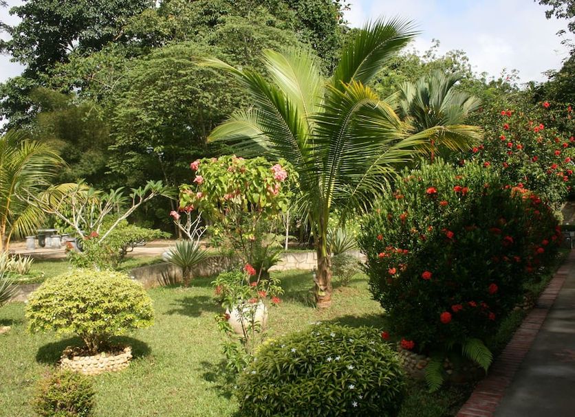 Vista del exterior Foto