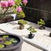 Otros