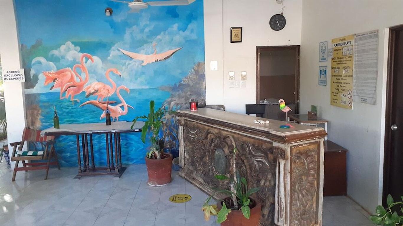 Flamingo Guest House