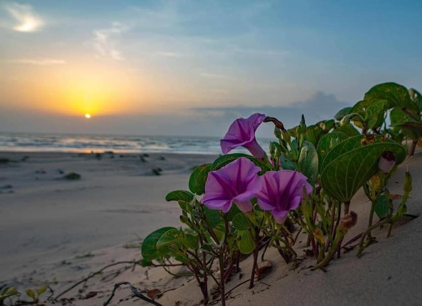 Playa Foto